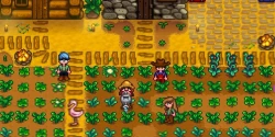 Stardew Valley Multiplayer Features