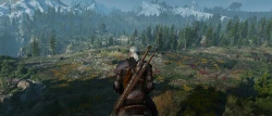 The Witcher 3: Beginner's Guide and Tips