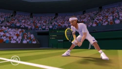 Скриншот к игре Grand Slam Tennis