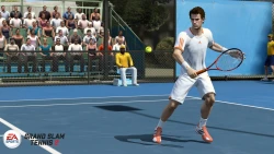 Скриншот к игре Grand Slam Tennis 2