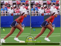 Venus: The Case of the Grand Slam Queen Screenshots