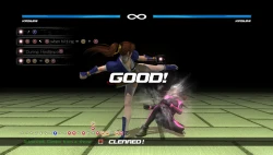 Скриншот к игре Dead or Alive 5