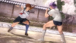 Скриншот к игре Dead or Alive 5