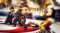 Скриншот к игре Dead or Alive 5