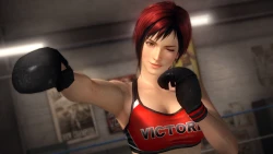 Скриншот к игре Dead or Alive 5