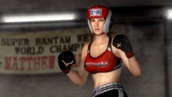 Скриншот к игре Dead or Alive 5