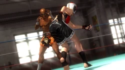 Скриншот к игре Dead or Alive 5