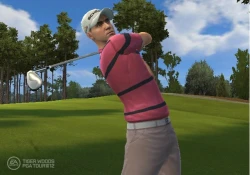 Скриншот к игре Tiger Woods PGA Tour 12: The Masters