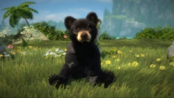 Kinectimals: Now with Bears! Screenshots