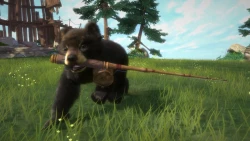 Kinectimals: Now with Bears! Screenshots