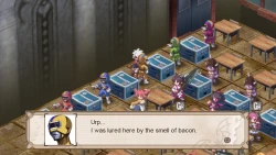 Скриншот к игре Disgaea 3: Absence of Justice