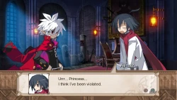 Скриншот к игре Disgaea 3: Absence of Justice