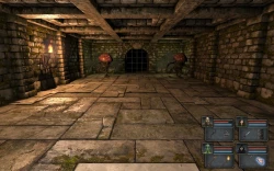 Legend of Grimrock Screenshots