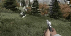 Скриншот к игре DayZ