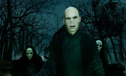 Скриншот к игре Harry Potter for Kinect