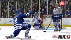 Скриншот к игре NHL 13