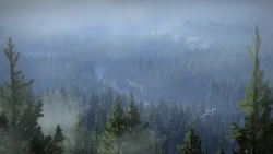 Скриншот к игре Total War: Rome II