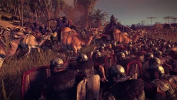 Скриншот к игре Total War: Rome II