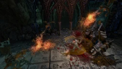 Скриншот к игре Blood Knights