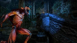 Скриншот к игре Blood Knights