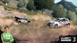 Скриншот к игре WRC 3: FIA World Rally Championship