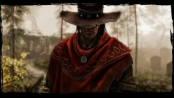 Скриншот к игре Call of Juarez: Gunslinger