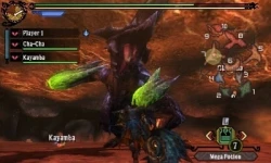 Скриншот к игре Monster Hunter 3 Ultimate