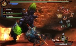 Скриншот к игре Monster Hunter 3 Ultimate