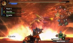 Скриншот к игре Monster Hunter 3 Ultimate