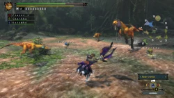 Скриншот к игре Monster Hunter 3 Ultimate