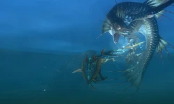 Monster Hunter 3 Ultimate Screenshots