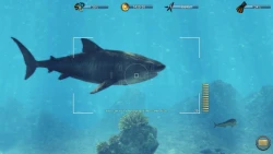 Скриншот к игре Depth Hunter 2: Deep Dive
