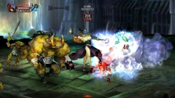Скриншот к игре Dragon's Crown