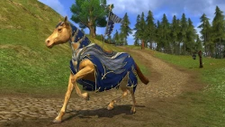 Скриншот к игре The Lord of the Rings Online: Riders of Rohan