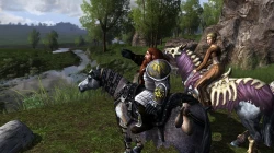 Скриншот к игре The Lord of the Rings Online: Riders of Rohan