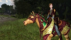 Скриншот к игре The Lord of the Rings Online: Riders of Rohan