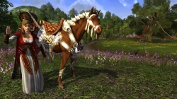 Скриншот к игре The Lord of the Rings Online: Riders of Rohan