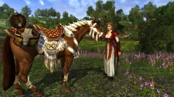 Скриншот к игре The Lord of the Rings Online: Riders of Rohan