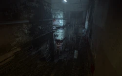 Скриншот к игре Outlast