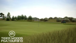 Скриншот к игре Tiger Woods PGA Tour 13