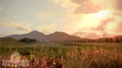 Скриншот к игре Tiger Woods PGA Tour 13