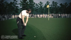 Скриншот к игре Tiger Woods PGA Tour 14