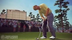 Скриншот к игре Tiger Woods PGA Tour 14