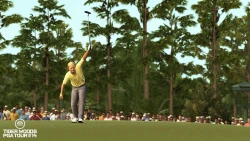 Tiger Woods PGA Tour 14 Screenshots