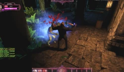 Скриншот к игре BloodLust Shadowhunter