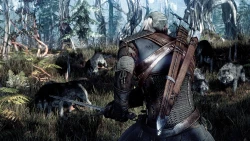 The Witcher 3: Wild Hunt Screenshots