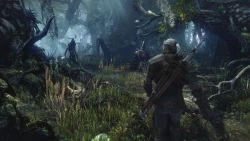 The Witcher 3: Wild Hunt Screenshots