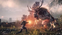 Скриншот к игре The Witcher 3: Wild Hunt