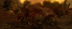 Скриншот к игре The Repopulation