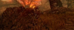 The Repopulation Screenshots
